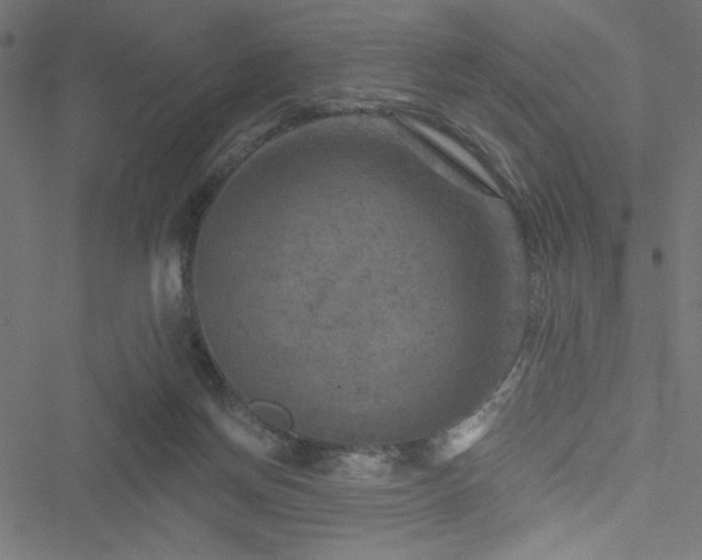 X0000051890166200506241358