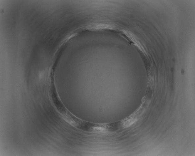 X0000051890167200506241358