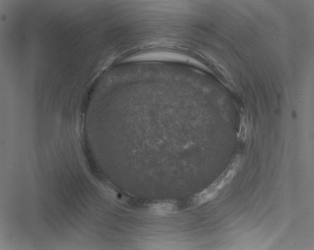 X0000051890168200506241358