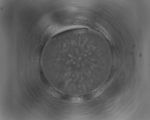 X0000051890169200506241358