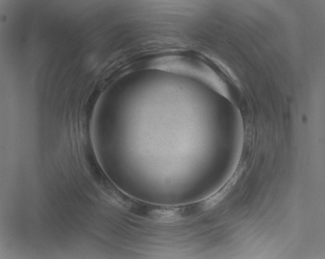 X0000051890170200506241358