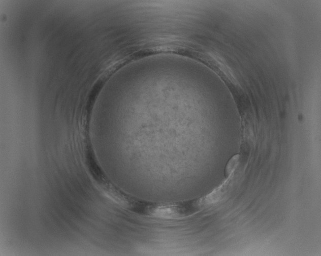 X0000051890171200506241358