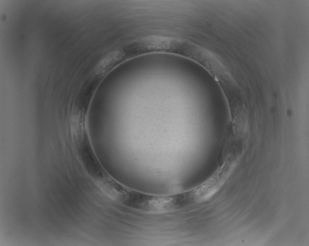 X0000051890172200506241358