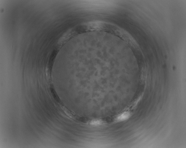 X0000051890173200506241358