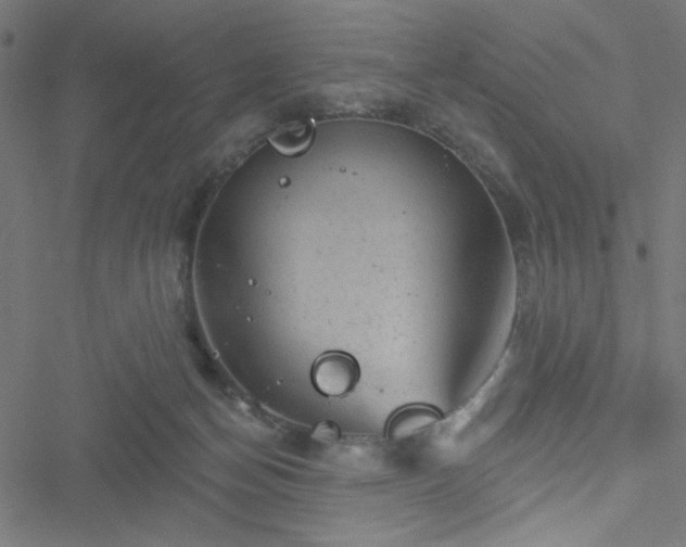 X0000051890174200506241358