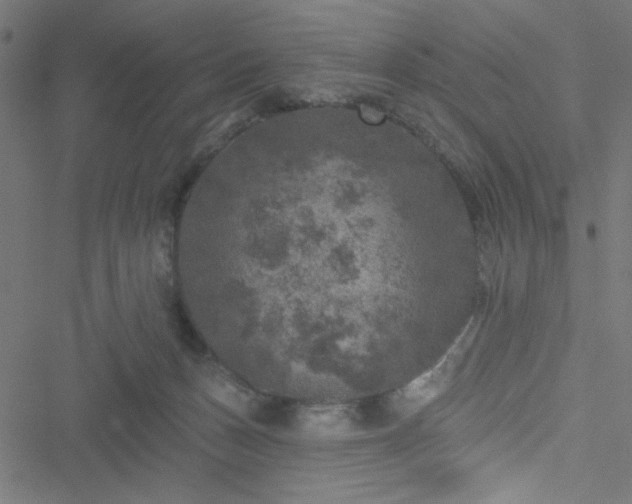 X0000051890175200506241358