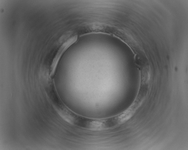 X0000051890176200506241358