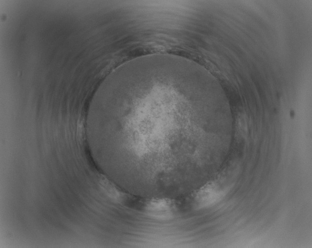 X0000051890177200506241358