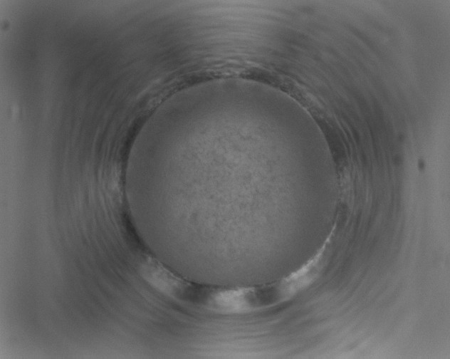 X0000051890178200506241358