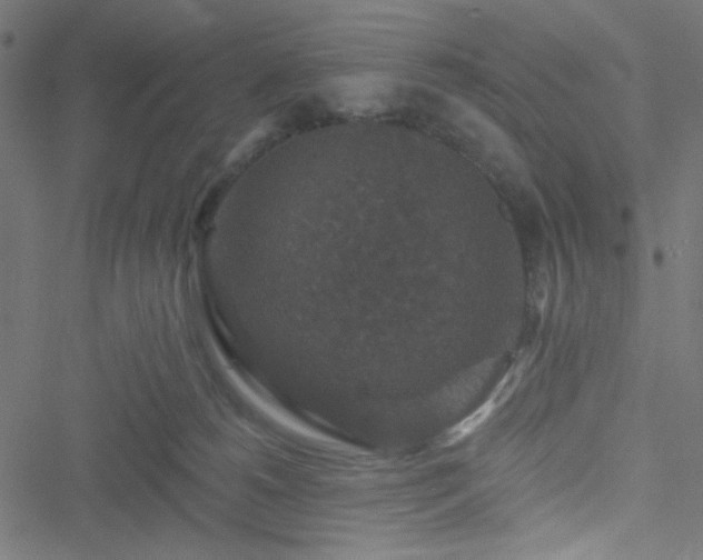 X0000051890180200506241358