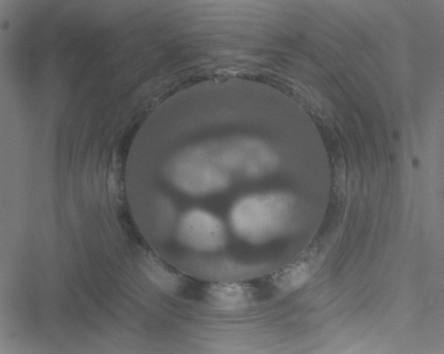 X0000051890181200506241358