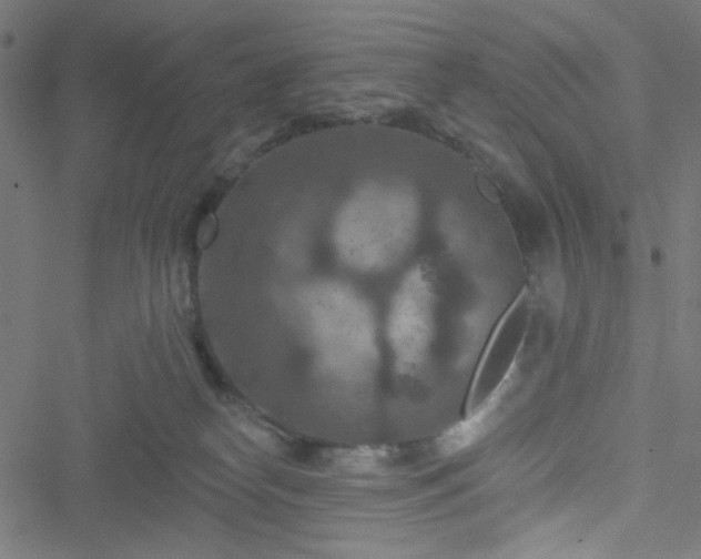 X0000051890182200506241358