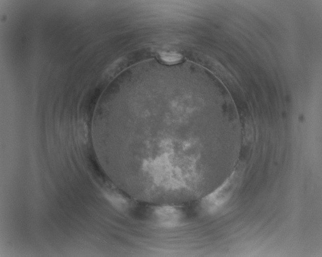 X0000051890183200506241358