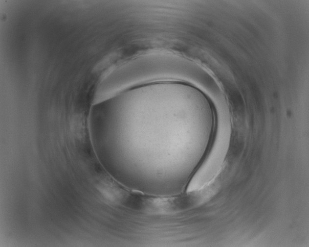 X0000051890184200506241358