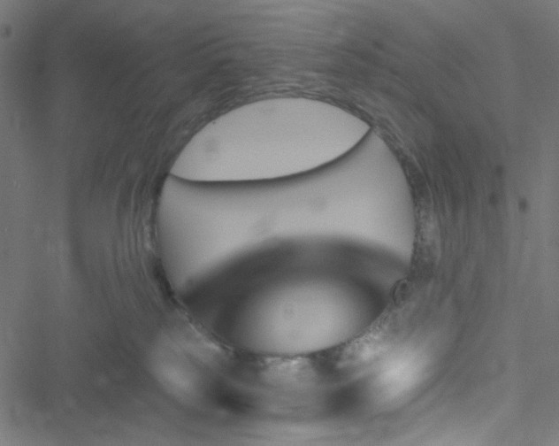 X0000051890185200506241358