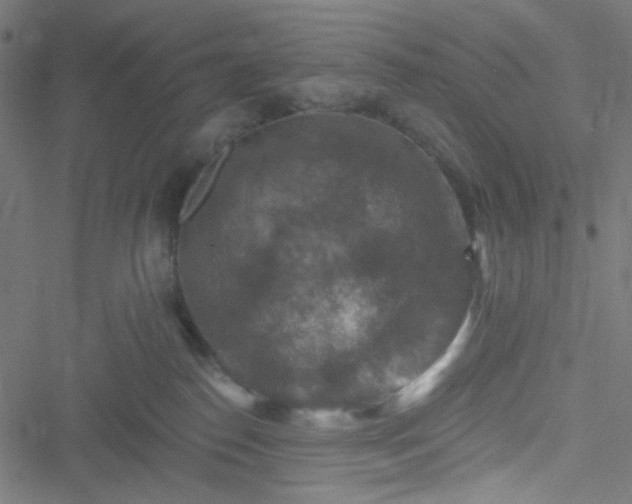 X0000051890186200506241358