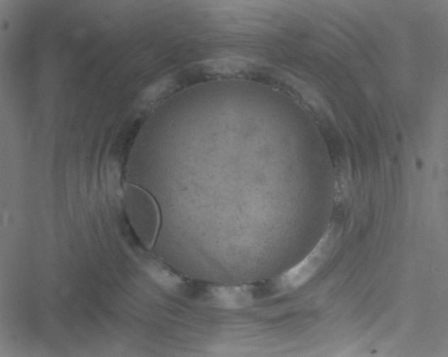 X0000051890187200506241358