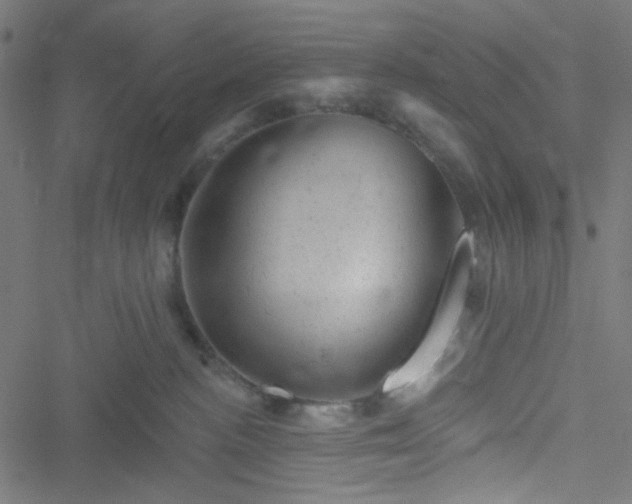 X0000051890188200506241358