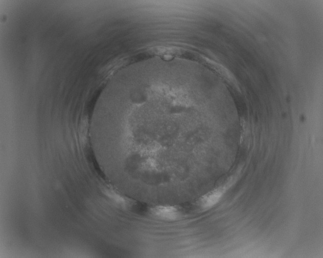 X0000051890189200506241358