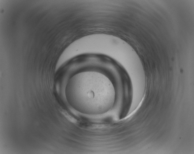 X0000051890190200506241358