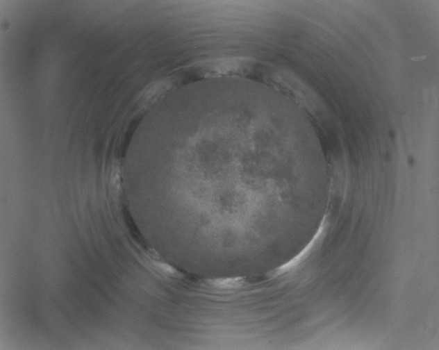 X0000051890191200506241358