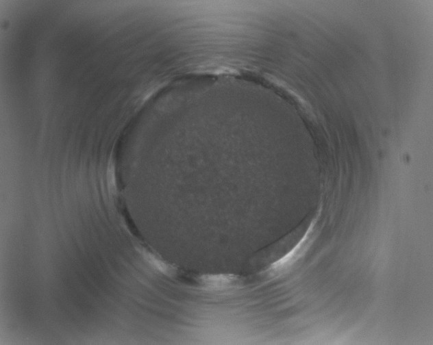 X0000051890192200506241358