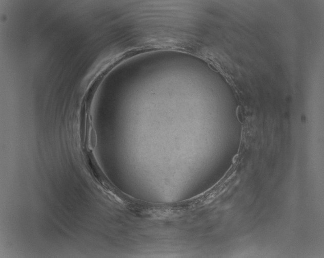 X0000051890194200506241357