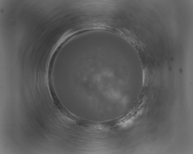 X0000051890195200506241357