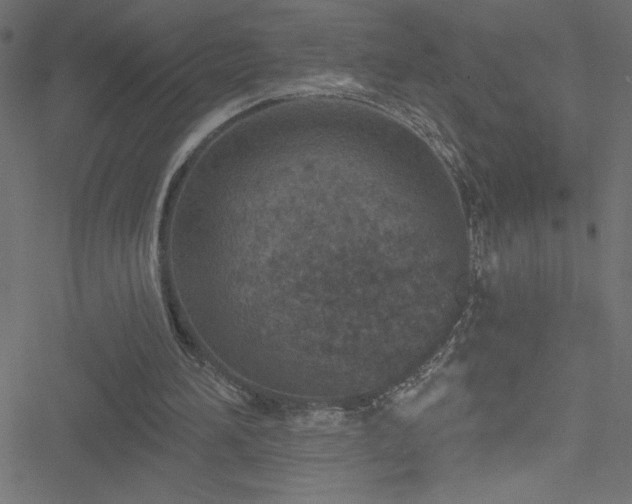 X0000051890196200506241357