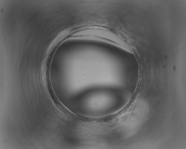 X0000051890197200506241357