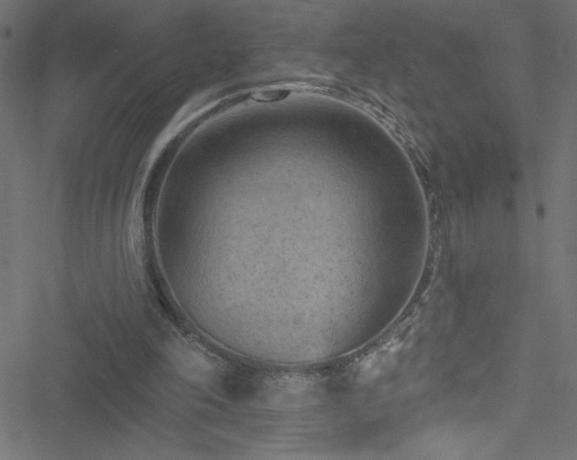 X0000051890198200506241357