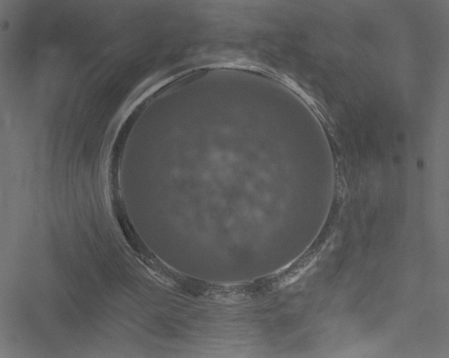 X0000051890199200506241357