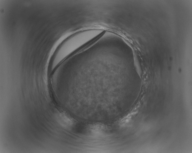 X0000051890200200506241357