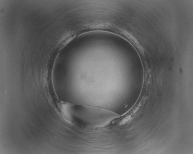 X0000051890201200506241357