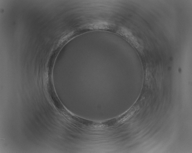 X0000051890202200506241357