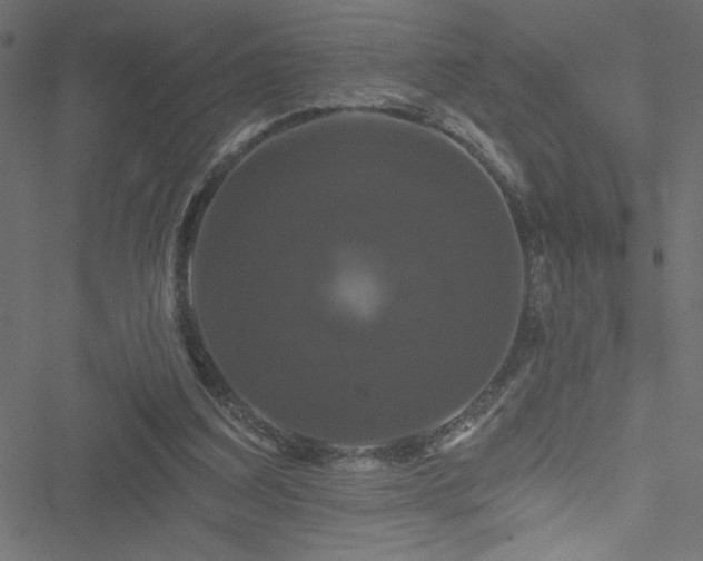 X0000051890203200506241357