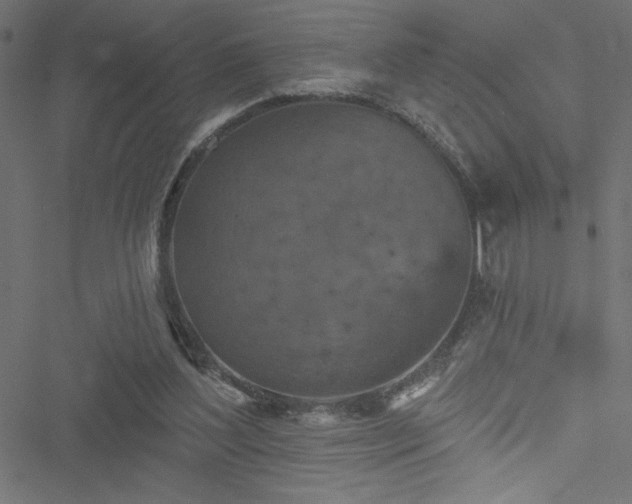 X0000051890204200506241357