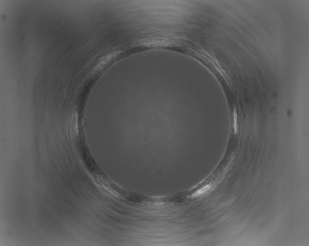 X0000051890205200506241357