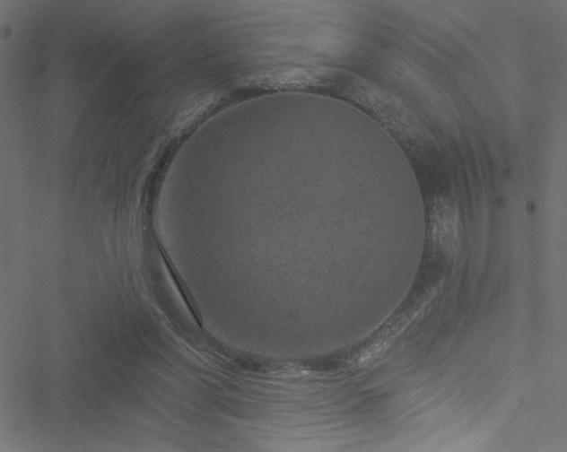 X0000051890206200506241357