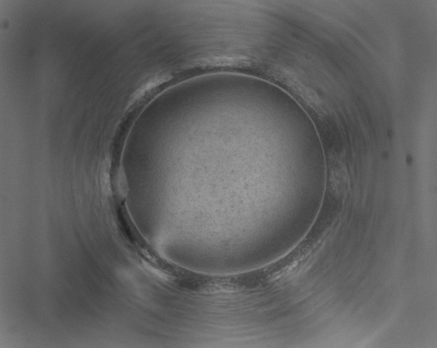 X0000051890207200506241357