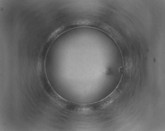 X0000051890208200506241357