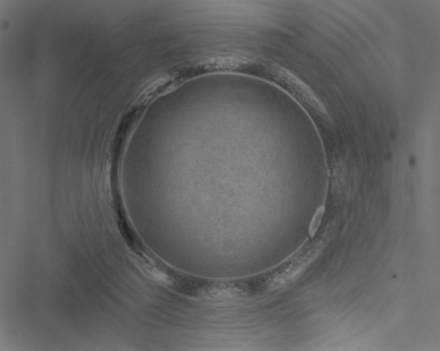 X0000051890209200506241357