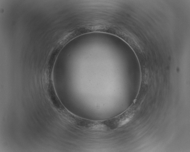 X0000051890210200506241357