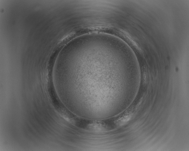 X0000051890211200506241357