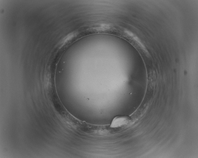 X0000051890212200506241357