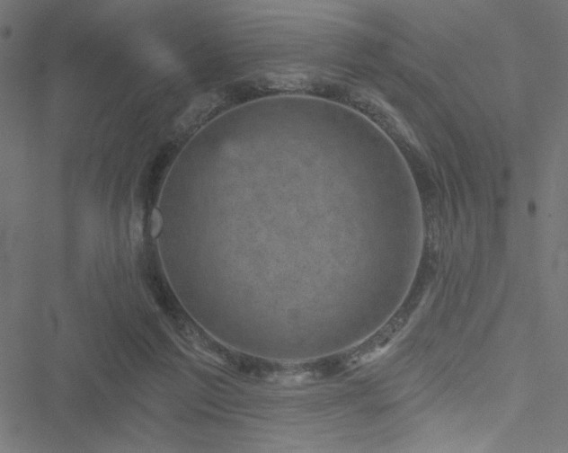 X0000051890213200506241357