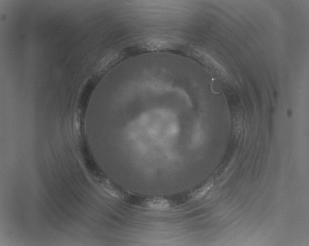 X0000051890214200506241357