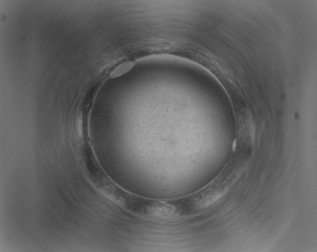 X0000051890215200506241357