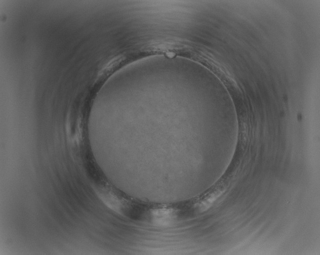 X0000051890216200506241357