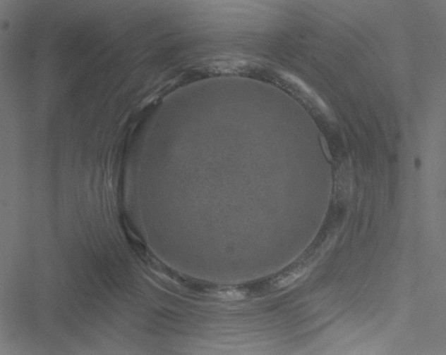 X0000051890217200506241357